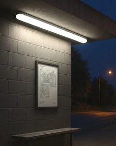 Corp de iluminat tehnic fluorescent LED/36W/230V 4200K 120 cm IP65