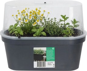 Mini Seră cu Jardinieră din plastic, 59x26x24,25 cm – Ideală pentru Răsaduri și Plante Aromatice