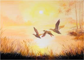 Tablou - Macarale la apus de soare (70x50 cm)