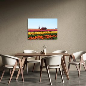 Tablou pe sticlă cu farma de lalele (70x50 cm)