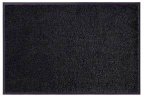 Covoraș de intrare 60x40 cm Wash and Clean - Hanse Home