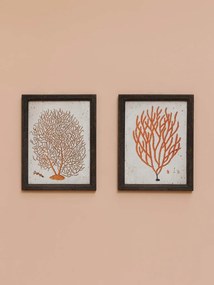 Set 2 tablouri, Coral