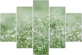 Tablou - Roua dimineții pe firele de iarbă (150x105 cm)