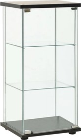 vidaXL Dulap depozitare, negru, sticlă securizată