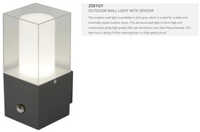 Aplica de perete exterior cu senzor de miscare Outdoor 2581GY SRT