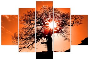 Tablou - Fag la apus de soare (150x105 cm)