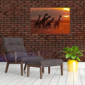 Tablou - Girafe în savana africană (90x60 cm)