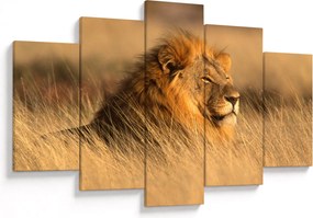 Tablou - Parcul Național Etosha (150x105 cm)