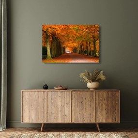 Tablou - Bulevardul de copaci în toamnă (90x60 cm)