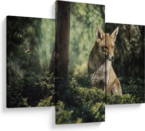 Tablou cu vulpe (90x60 cm)