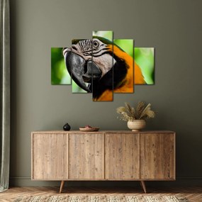 Tablou cu papagal (150x105 cm)
