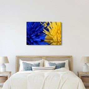 Tablou - detaliu florilor (90x60 cm)
