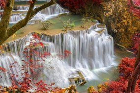 Tablou cascada forestieră