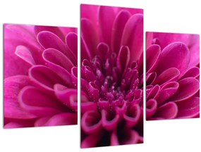 Tablou cu floare (90x60 cm)