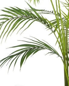 Plantă artificială 120 cm ARCU. 1022774