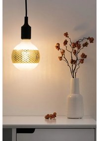 Bec LED reglabil CLASSIC G125 E27/4,5W/230V 2500K - Paulmann 28770