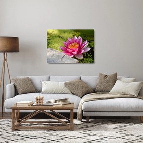 Tablou pe sticlă - Lotus (70x50 cm)