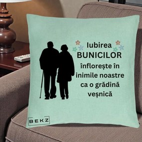 Cadou pentru Bunici - Perna Personalizata Bunicii Iubirea Infloreste Silueta Neagra Flori, 40x40 cm, Verde Menta, Husa Detasabila, Perna Inclusa, BEKZ®