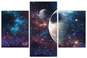 Tablou cu cosmos (90x60 cm)