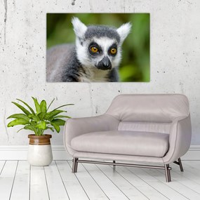 Tablou cu lemur (90x60 cm)