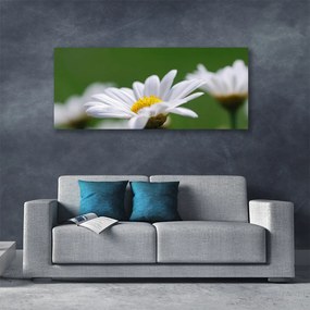 Tablou pe panza canvas Daisy Floral Alb Galben Verde