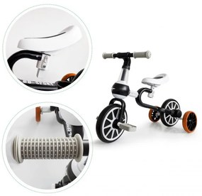 Bicicletă pentru copii în negru Ecotoys 4in1