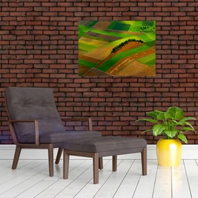 Tablou - Lan, luncile (70x50 cm)
