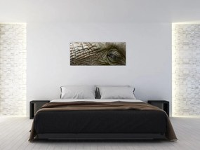 Tablou - Prim-planul ochiului de elefant vechi (120x50 cm)