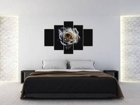 Tablou cu trandafir alb (150x105 cm)