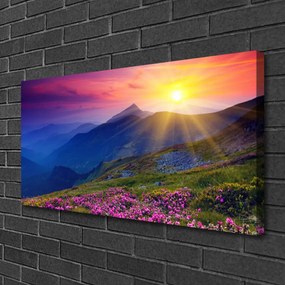 Tablou pe panza canvas Munții flori de luncă Peisaj Albastru Roz Verde Galben