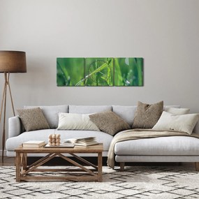 Tablou cu picături de rouă (cu ceas) (90x30 cm)
