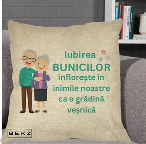 Cadou pentru Bunici - Perna Personalizata Bunicii Iubirea Infloreste Cuplu Senior Teal, 40x40 cm, Crem, Husa Detasabila, Perna Inclusa, BEKZ®