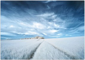 Tablou - Câmp (70x50 cm)