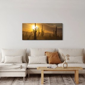 Tablou - Cactuși Saguaro (120x50 cm)