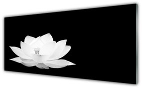 Tablou pe sticla Florale flori albe