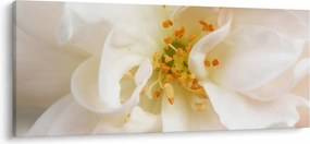Tablou - Floare (120x50 cm)