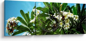 Tablou - Plumeria (cu ceas) (90x30 cm)