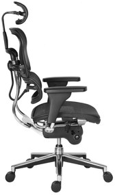 Scaun de birou - ERGOHUMAN2 PDH ULTRA BLACK FRAME W09-01+ALU BASE - precomanda 7-12 zile (Termen de livrare: 7 zile)