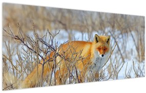 Tablou - Vulpe (120x50 cm)