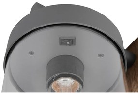 Corp de iluminat pentru exterior, de perete (înălțime 33 cm) Sambesi – Trio