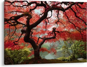 Tablou - Arțarul japonez roșu, Portland, Oregon (70x50 cm)