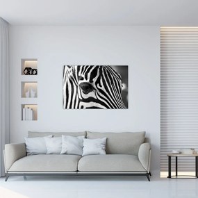 Tablou cu zebră (90x60 cm)