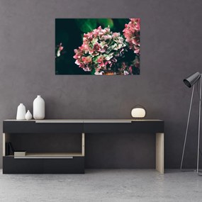 Tablou - Hortensie (90x60 cm)