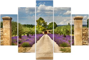 Tablou - Căi de lavandă (150x105 cm)