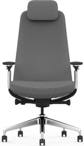 Scaun Ergonomic Premium cu Tetieră Reglabilă, Suport Lombar Ajustabil, Cotiere 3D, Mecanism Multifuncțional și Bază din Aluminiu, Gri