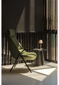 Fotoliu Teulat Dins, înălțime 114 cm, verde