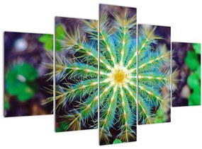 Tablou cu cactus (150x105 cm)
