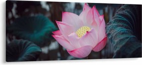 Tablou cu floare roz (120x50 cm)