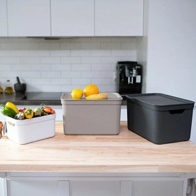 Cutie de depozitare din plastic cu capac Deco - Rotho