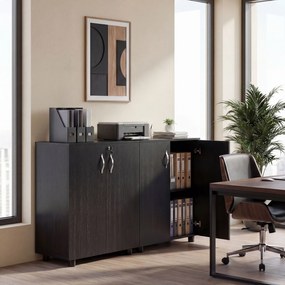 Vinsetto Dulap pentru Documente, cu Încuietoare, 2 Uși și Raft Interior, 80x40x80 cm, Negru | Aosom Romania